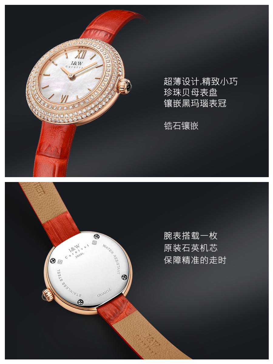 Switzerland Luxury Brand I&W C - Luxury Watch Japan Brand reseña y precio